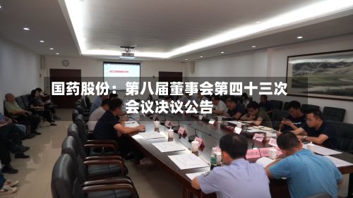 国药股份：第八届董事会第四十三次会议决议公告-第2张图片
