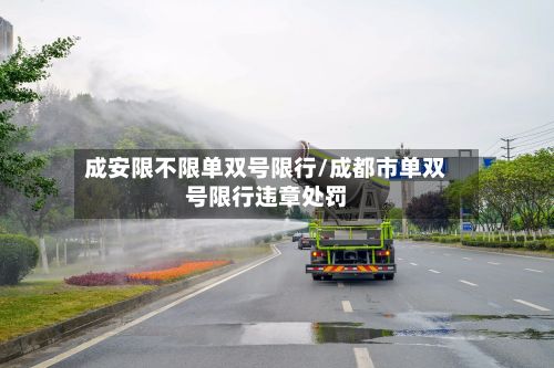 成安限不限单双号限行/成都市单双号限行违章处罚
