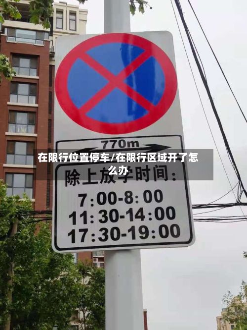 在限行位置停车/在限行区域开了怎么办-第3张图片