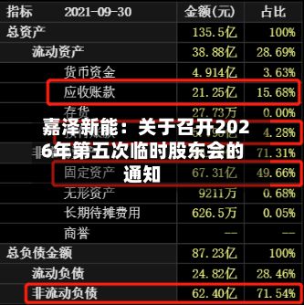 嘉泽新能：关于召开2026年第五次临时股东会的通知