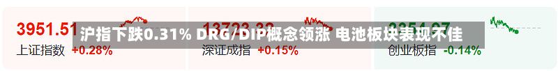 沪指下跌0.31% DRG/DIP概念领涨 电池板块表现不佳-第3张图片