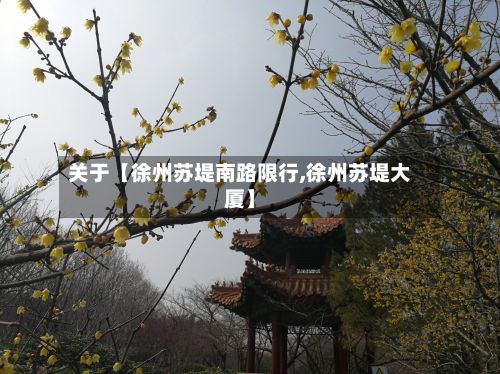 关于【徐州苏堤南路限行,徐州苏堤大厦】