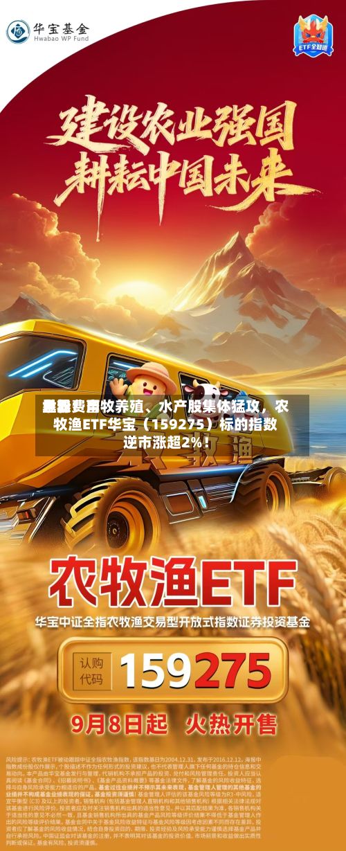 世界鱼粉费用暴涨！畜牧养殖	、水产股集体猛攻	，农牧渔ETF华宝（159275）标的指数逆市涨超2%！-第2张图片