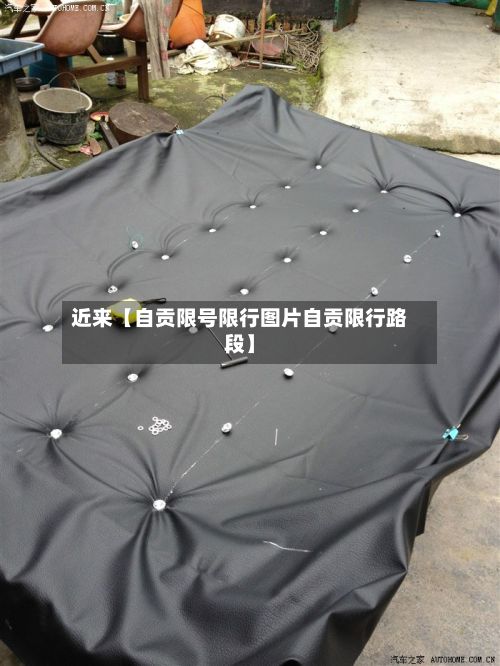 近来【自贡限号限行图片自贡限行路段】-第2张图片