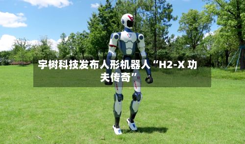 宇树科技发布人形机器人“H2-X 功夫传奇”-第2张图片