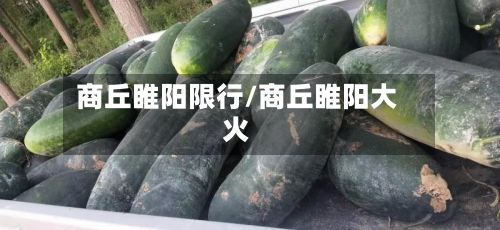 商丘睢阳限行/商丘睢阳大火-第2张图片