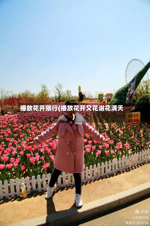 播放花开限行(播放花开又花谢花满天)-第3张图片