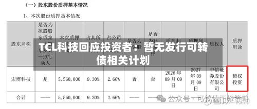TCL科技回应投资者：暂无发行可转债相关计划-第2张图片