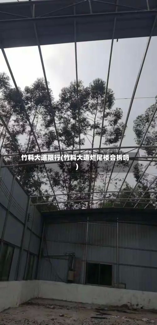竹料大道限行(竹料大道烂尾楼会拆吗)