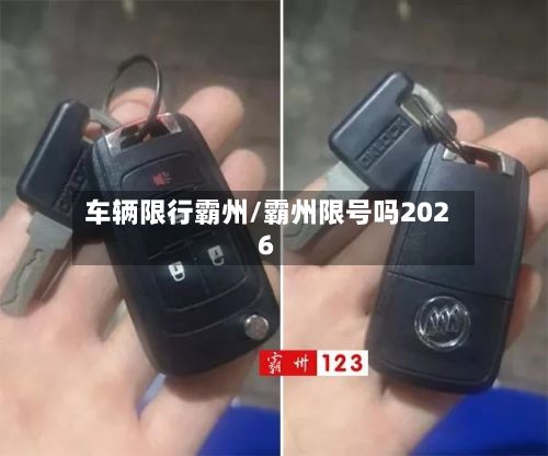 车辆限行霸州/霸州限号吗2026