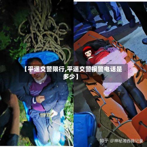 【平遥交警限行,平遥交警报警电话是多少】-第2张图片