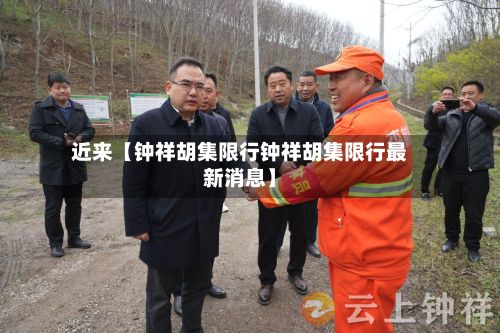 近来【钟祥胡集限行钟祥胡集限行最新消息】-第3张图片