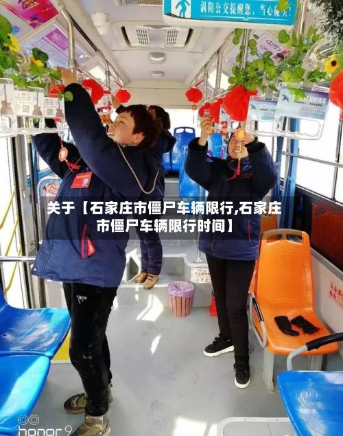 关于【石家庄市僵尸车辆限行,石家庄市僵尸车辆限行时间】-第2张图片