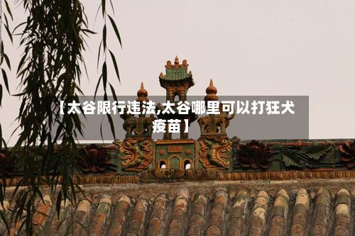 【太谷限行违法,太谷哪里可以打狂犬疫苗】