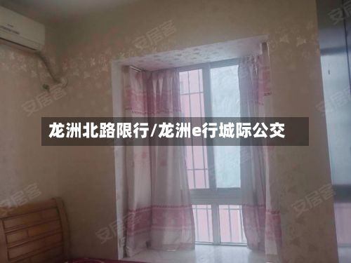 龙洲北路限行/龙洲e行城际公交