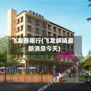 飞龙巷限行(飞龙峡镇最新消息今天)-第2张图片