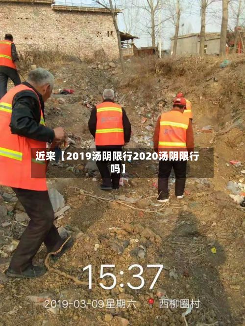近来【2019汤阴限行2020汤阴限行吗】-第2张图片