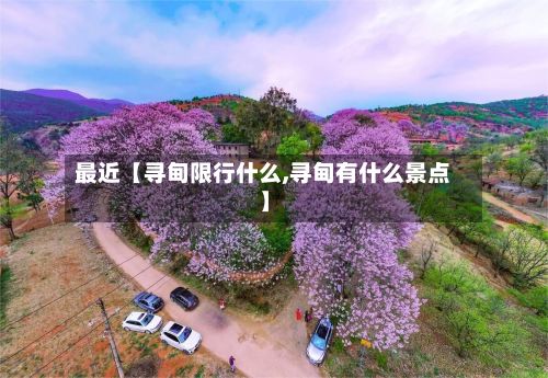 最近【寻甸限行什么,寻甸有什么景点】-第3张图片