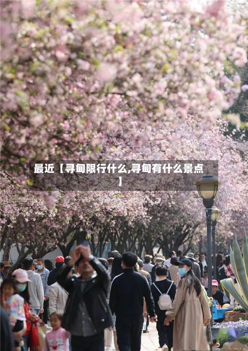 最近【寻甸限行什么,寻甸有什么景点】-第2张图片