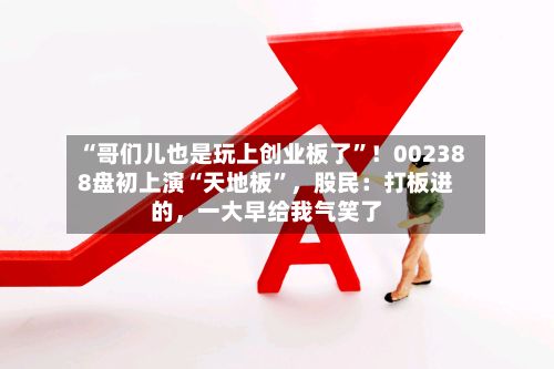 “哥们儿也是玩上创业板了	”！002388盘初上演“天地板”	，股民：打板进的，一大早给我气笑了-第1张图片