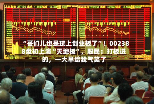 “哥们儿也是玩上创业板了	”！002388盘初上演“天地板”	，股民：打板进的，一大早给我气笑了-第2张图片