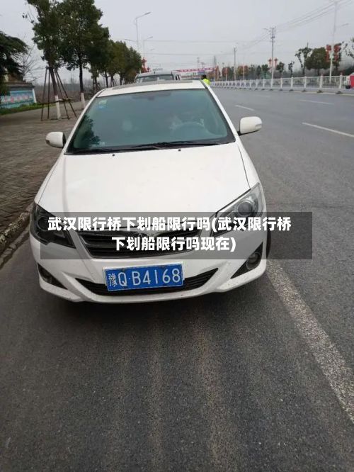 武汉限行桥下划船限行吗(武汉限行桥下划船限行吗现在)-第2张图片