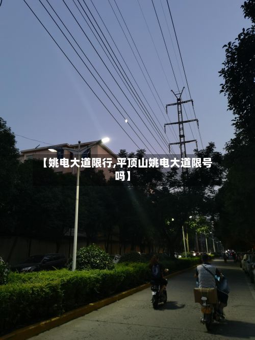【姚电大道限行,平顶山姚电大道限号吗】