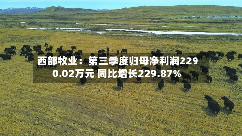 西部牧业:第三季度归母净利润2290.02万元 同比增长229.87%-第3张图片