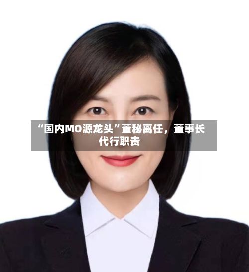 “国内MO源龙头	”董秘离任，董事长代行职责-第2张图片