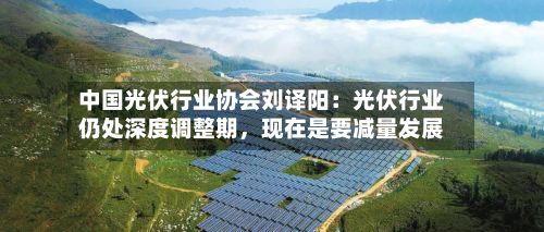 中国光伏行业协会刘译阳：光伏行业仍处深度调整期，现在是要减量发展-第3张图片
