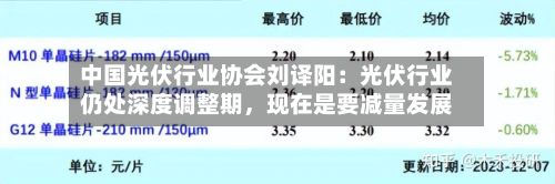 中国光伏行业协会刘译阳：光伏行业仍处深度调整期，现在是要减量发展