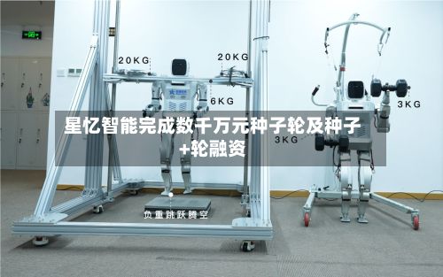 星忆智能完成数千万元种子轮及种子+轮融资-第2张图片