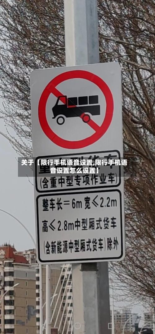 关于【限行手机语音设置,限行手机语音设置怎么设置】-第2张图片