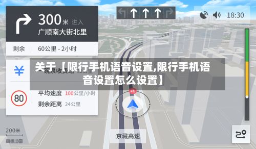 关于【限行手机语音设置,限行手机语音设置怎么设置】-第3张图片