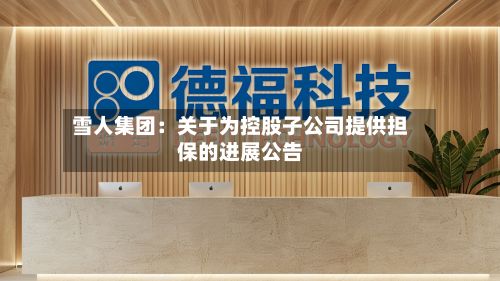 雪人集团：关于为控股子公司提供担保的进展公告