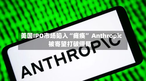 美国IPO市场陷入“瘫痪” Anthropic被寄望打破僵局