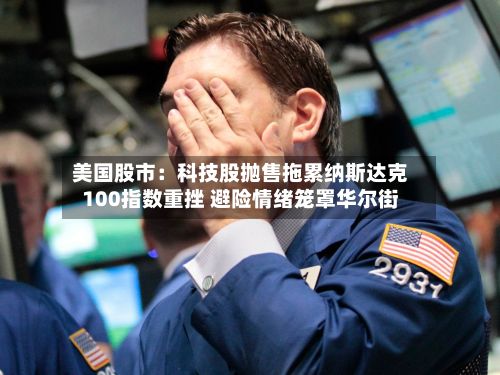 美国股市:科技股抛售拖累纳斯达克100指数重挫 避险情绪笼罩华尔街-第2张图片