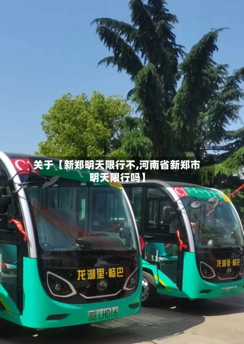 关于【新郑明天限行不,河南省新郑市明天限行吗】-第2张图片