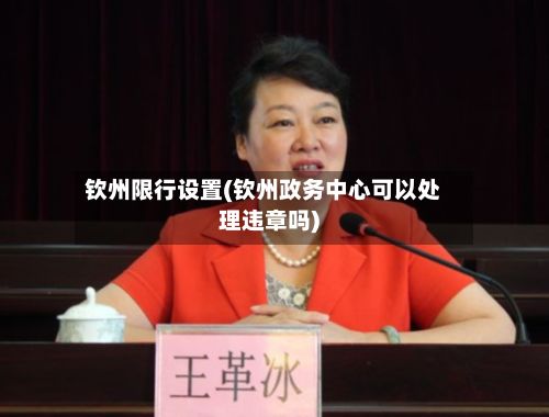 钦州限行设置(钦州政务中心可以处理违章吗)
