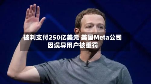 被判支付250亿美元 美国Meta公司因误导用户被重罚-第2张图片