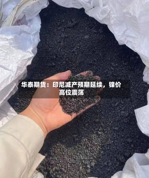 华泰期货：印尼减产预期延续，镍价高位震荡-第2张图片
