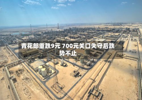 青花郎重跌9元 700元关口失守后跌势不止