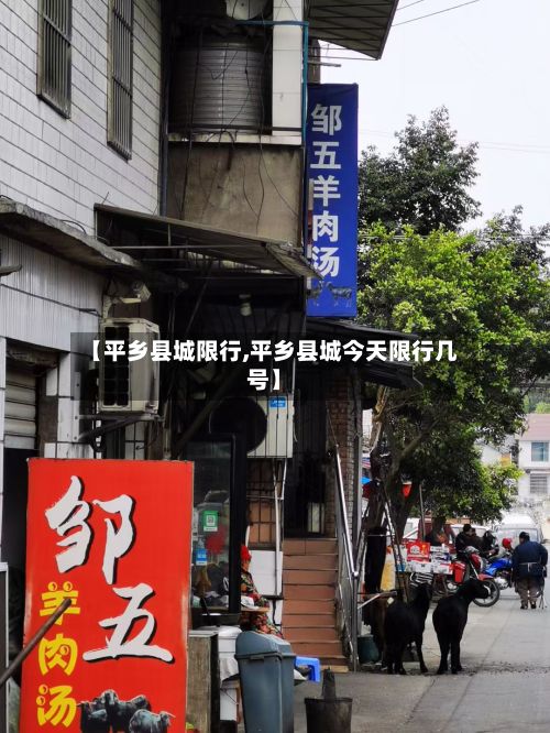 【平乡县城限行,平乡县城今天限行几号】-第2张图片
