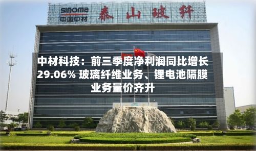 中材科技：前三季度净利润同比增长29.06% 玻璃纤维业务、锂电池隔膜业务量价齐升-第2张图片