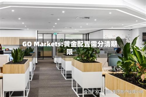 GO Markets:黄金配置需分清期限-第3张图片