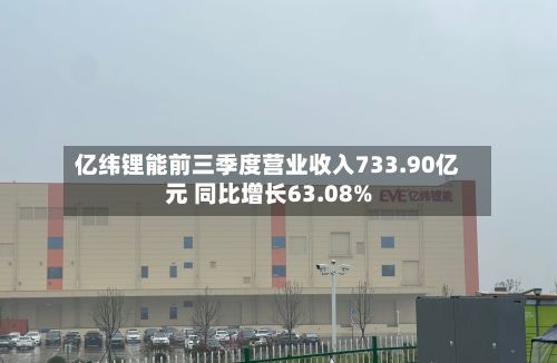 亿纬锂能前三季度营业收入733.90亿元 同比增长63.08%-第3张图片