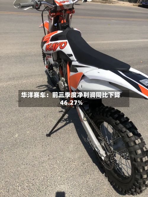 华洋赛车：前三季度净利润同比下降46.27%-第1张图片