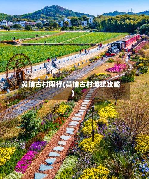 黄埔古村限行(黄埔古村游玩攻略)-第3张图片