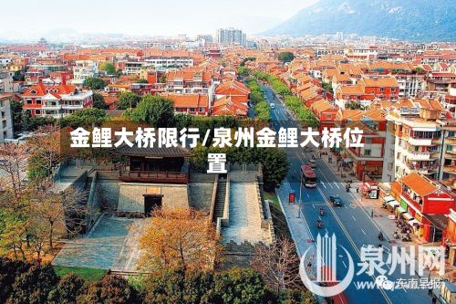 金鲤大桥限行/泉州金鲤大桥位置