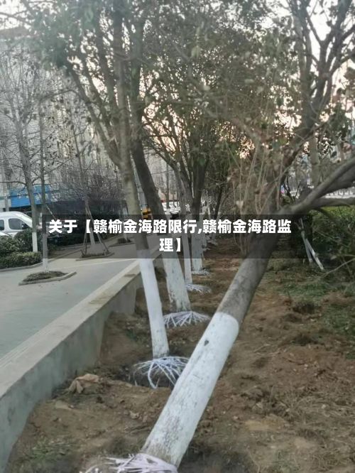关于【赣榆金海路限行,赣榆金海路监理】-第2张图片